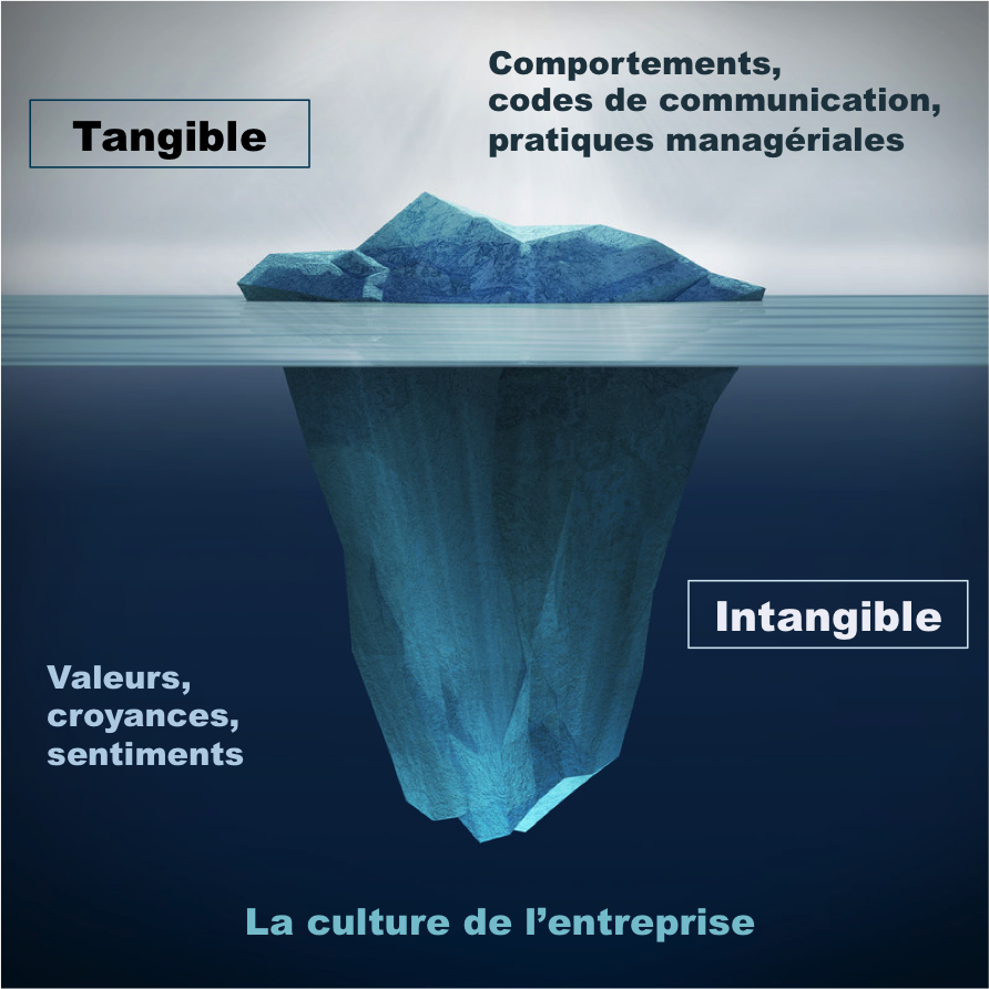 transformation-culturelle-graph2-new